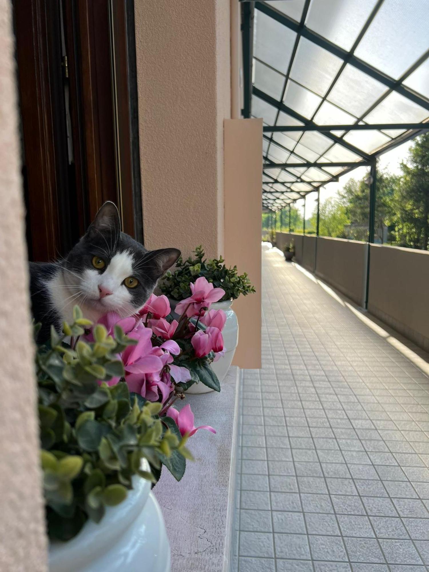 Appartamento Sangiuliano Mestre Bagian luar foto